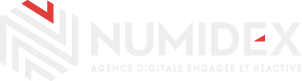 numidex logo